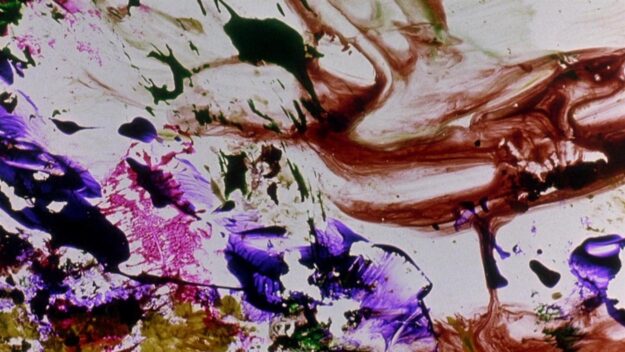 Brakhage Shorts