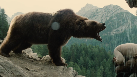 The Bear