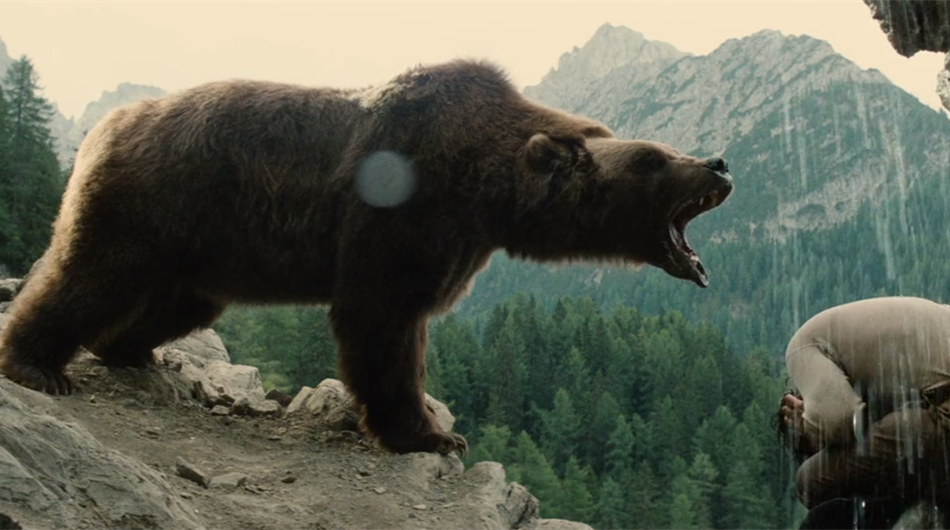 The Bear