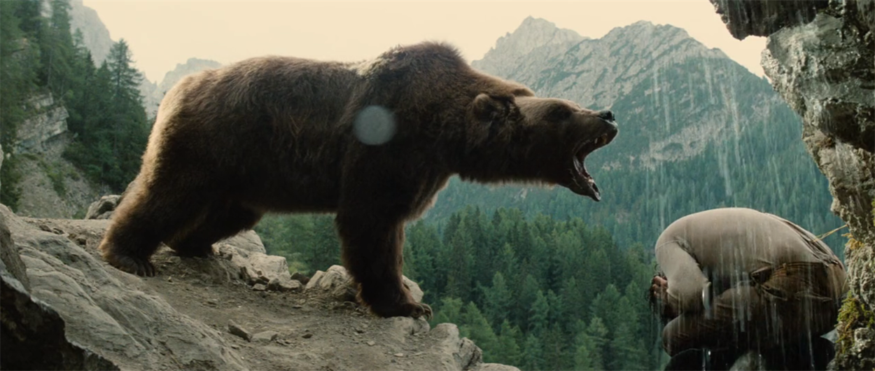 The Bear